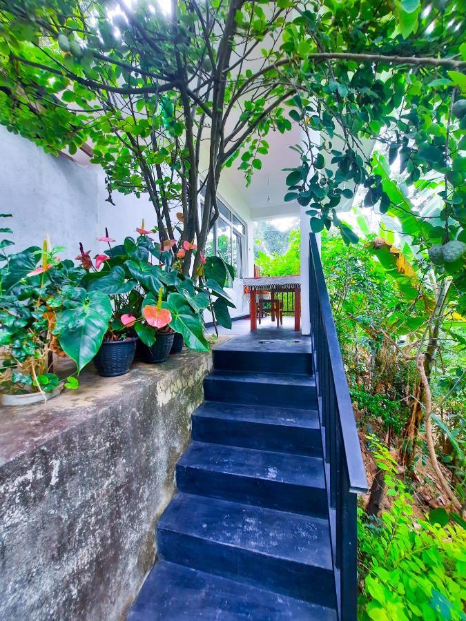The Bliss Homestay Ella Exterior photo